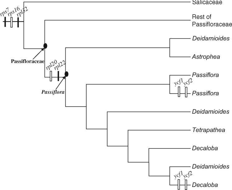 Fig. 5.