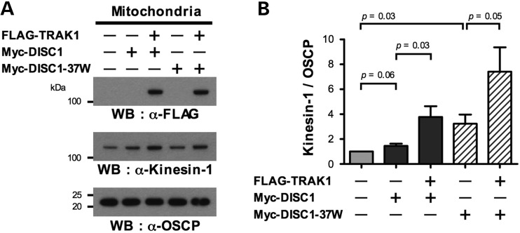 Figure 5.