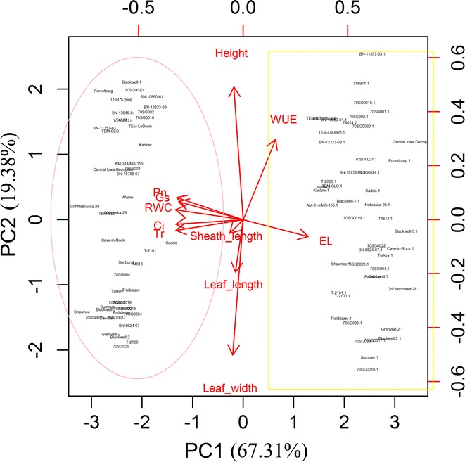 Fig. 3