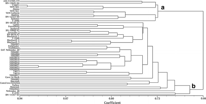 Fig. 1