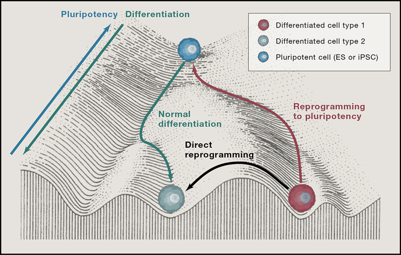 Figure 1.