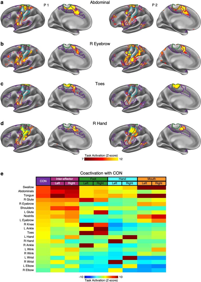 Extended Data Fig. 8