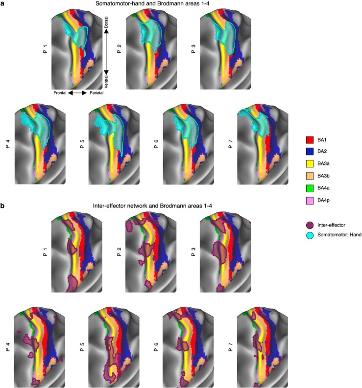 Extended Data Fig. 6