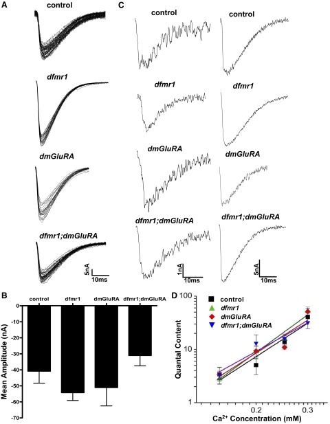 FIG. 1.