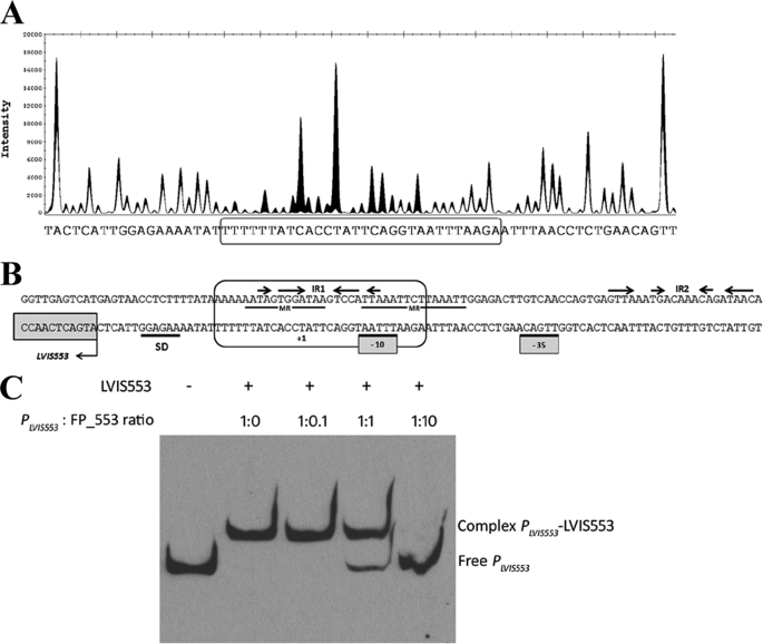 FIGURE 2.