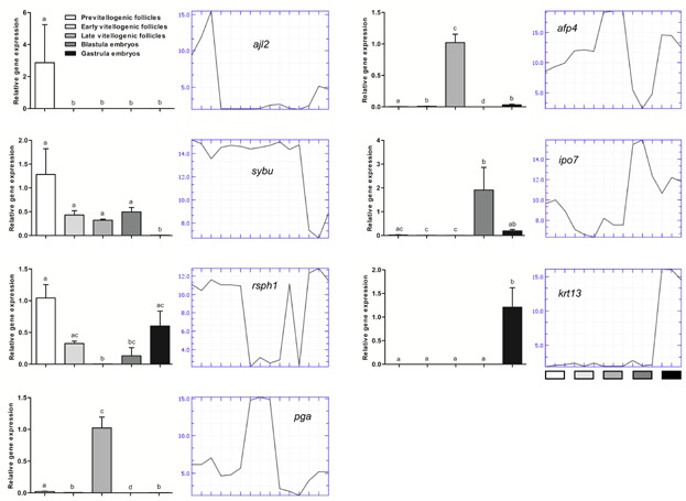 Figure 6