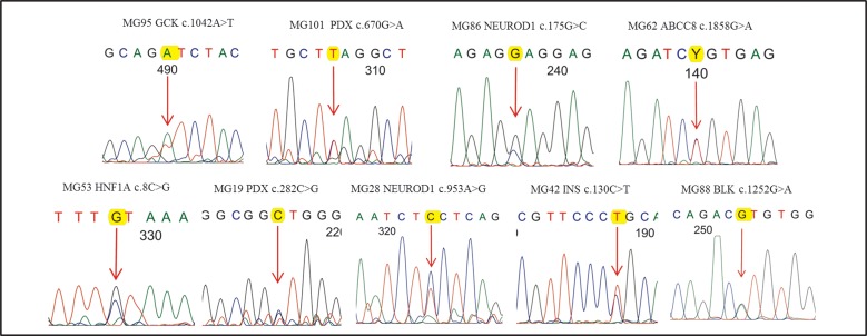 Fig 2