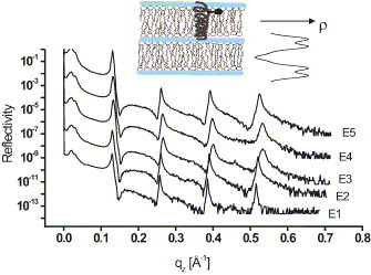 Fig. 2