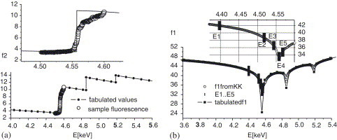 Fig. 1