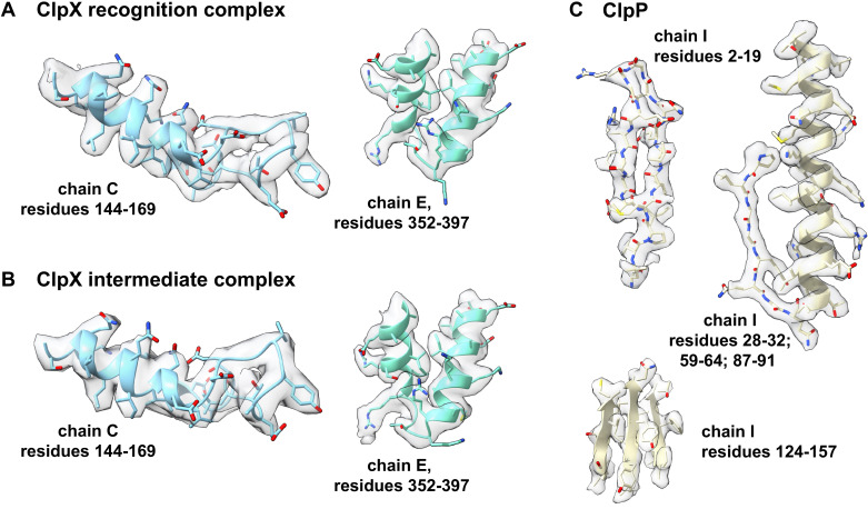 Figure 1—figure supplement 3.