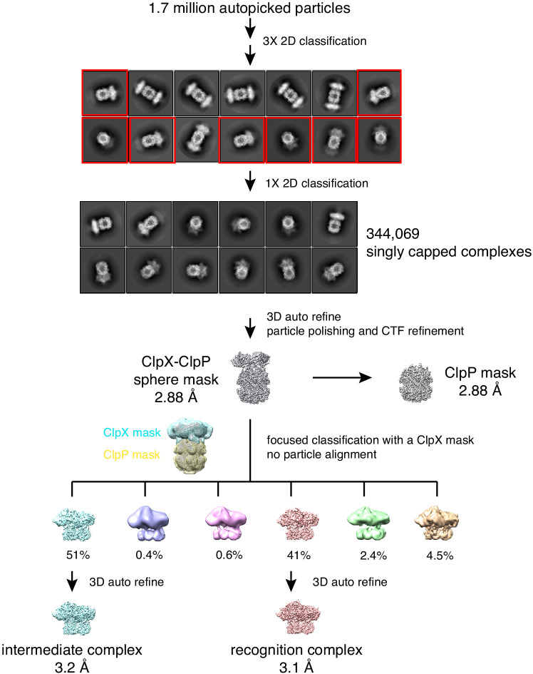 Figure 1—figure supplement 1.