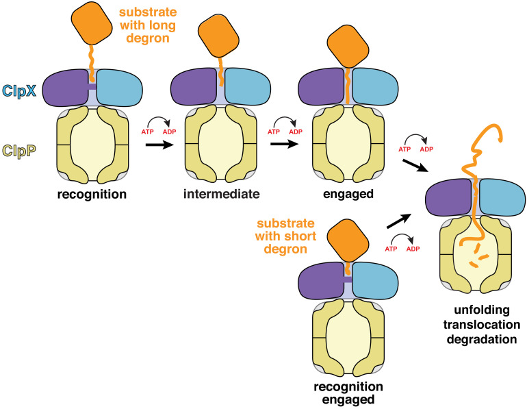 Figure 5.