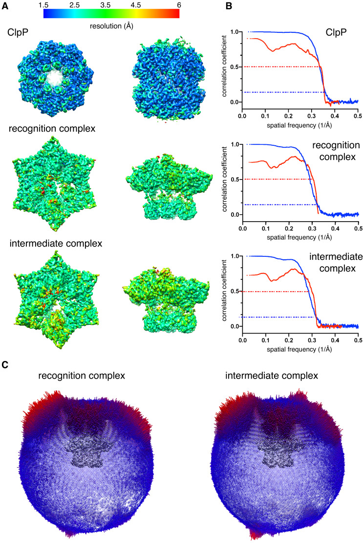 Figure 1—figure supplement 2.