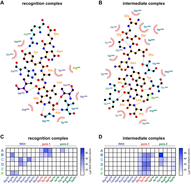 Figure 2—figure supplement 1.