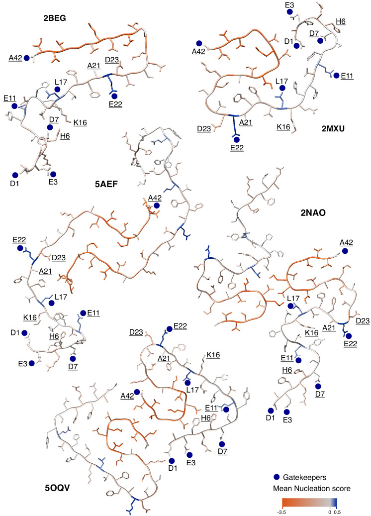 Figure 5—figure supplement 2.