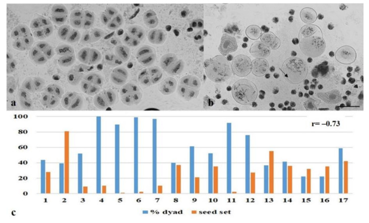 Figure 20