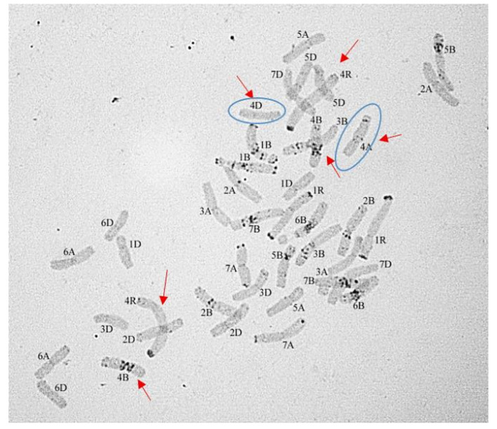 Figure 10