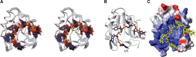 Figure 5.