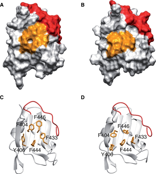 Figure 9.