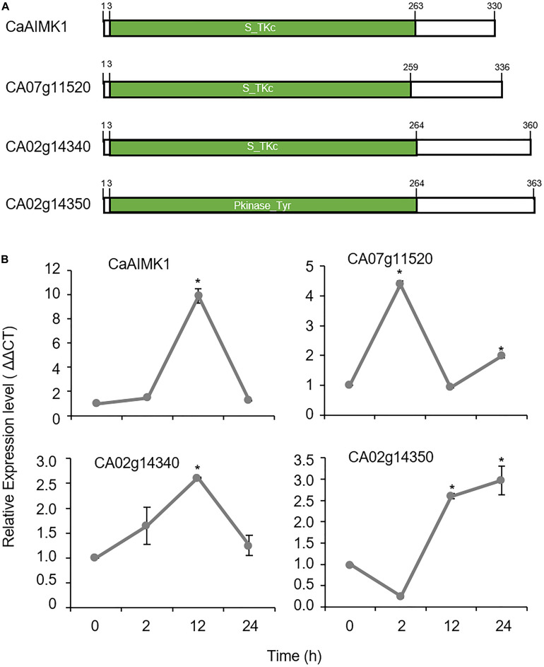 FIGURE 1