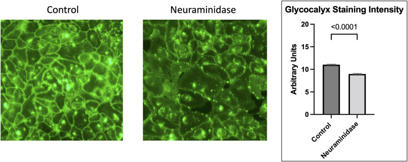 Fig 10