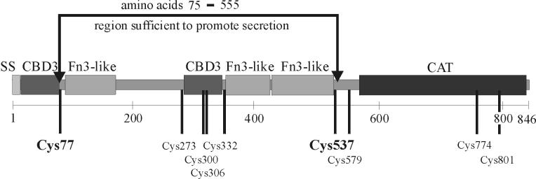 FIG. 5.