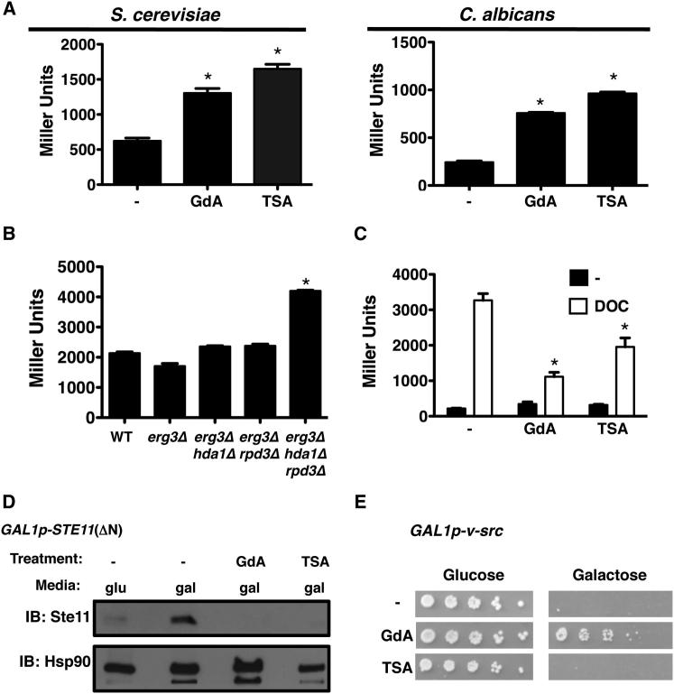 Figure 6