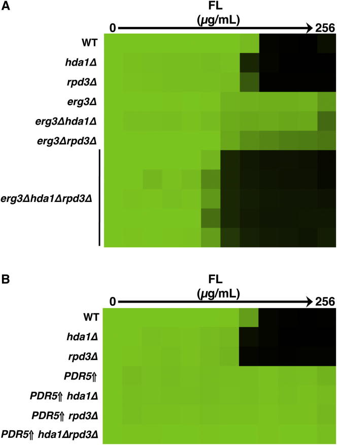 Figure 3