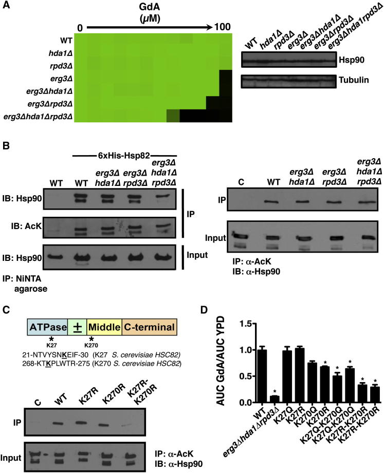 Figure 4