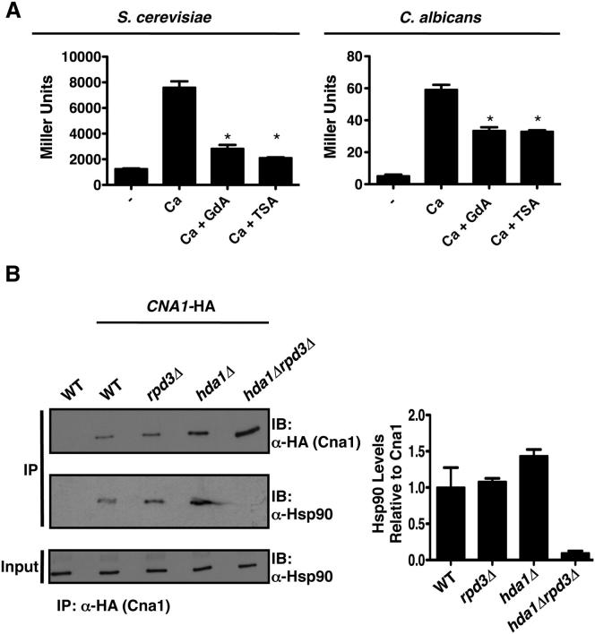 Figure 5