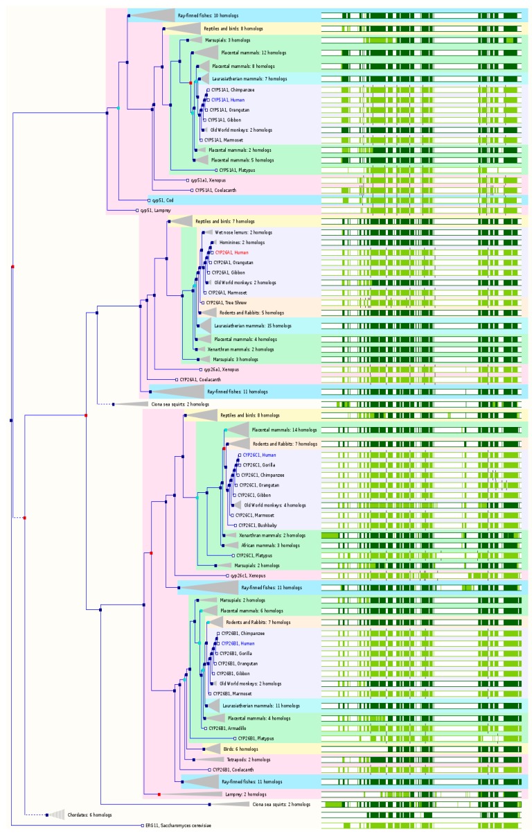 Figure 7