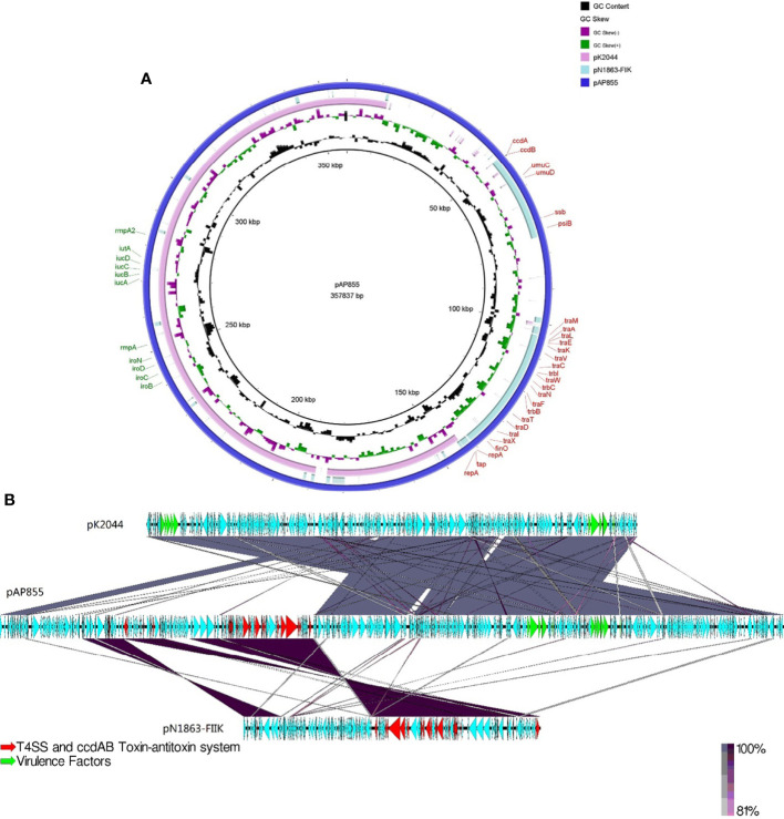 Figure 2