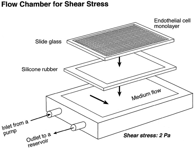 fig 2.