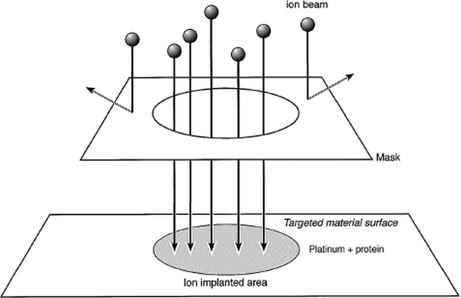 fig 1.