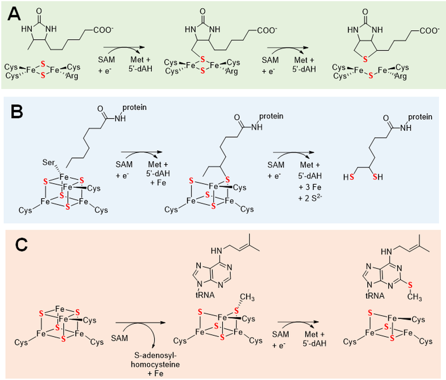 Figure 6.