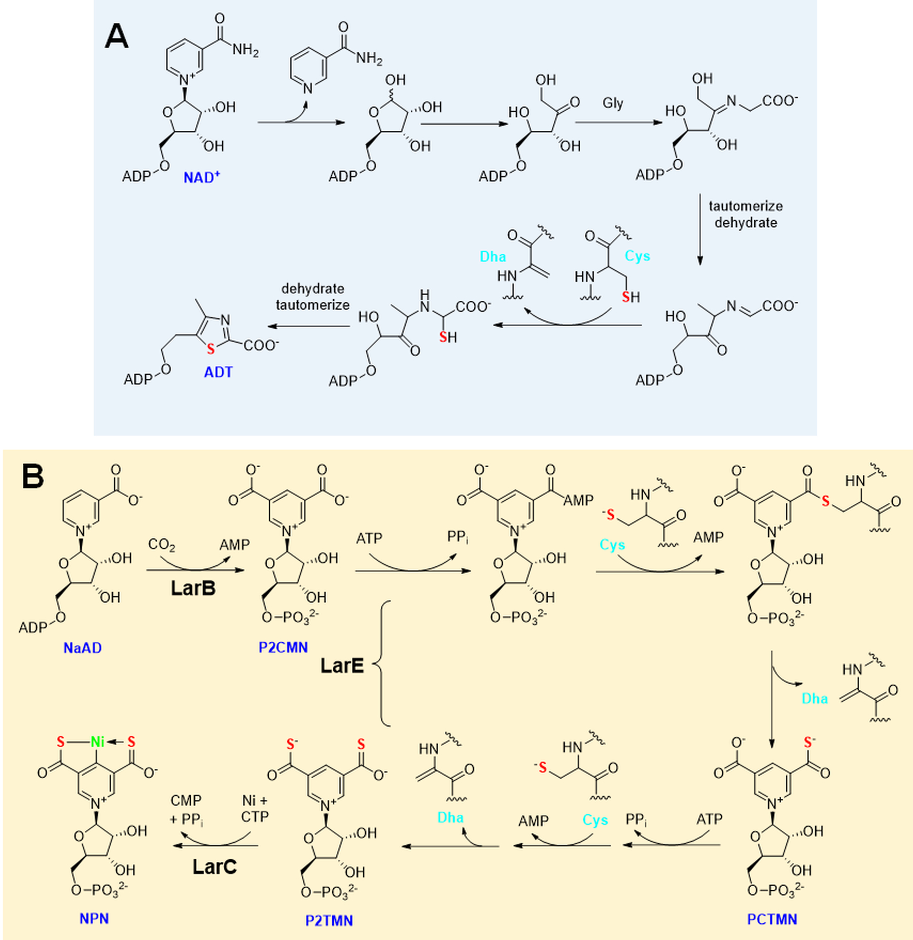 Figure 5.