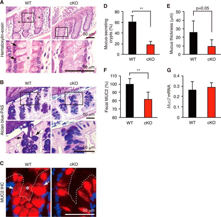 FIGURE 10.