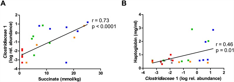 Fig 7