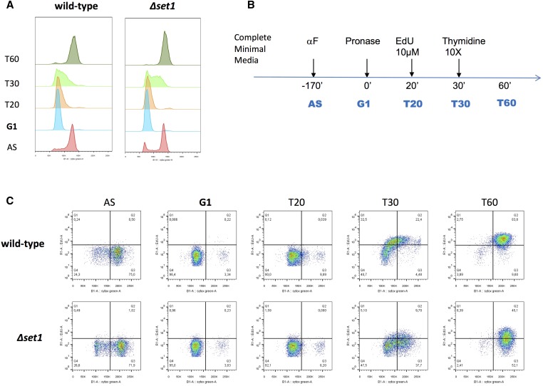 Figure 6