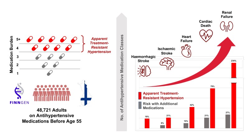 Graphical Abstract