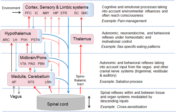 Figure 5