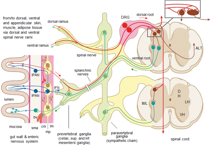 Figure 2