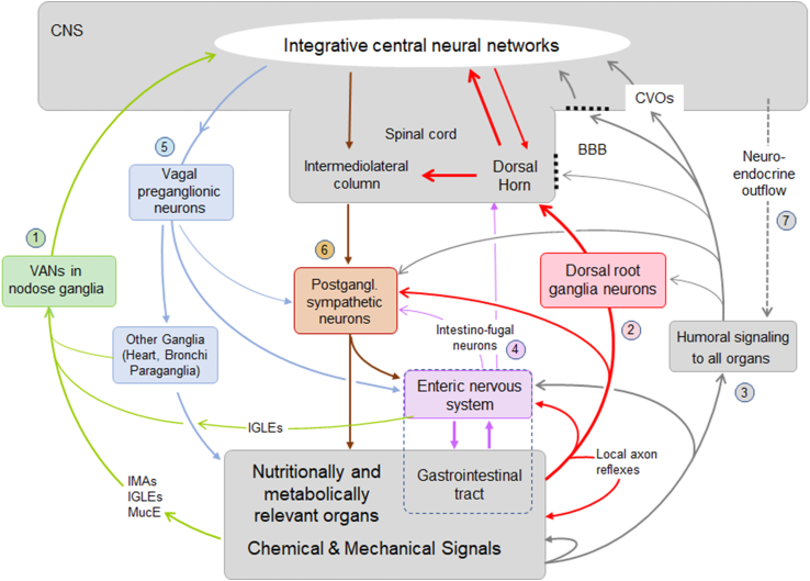 Figure 1