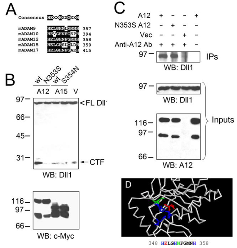 FIG. 7