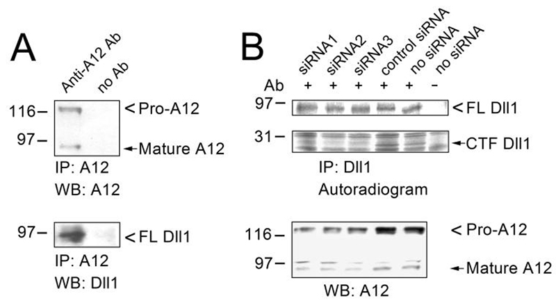 FIG. 9