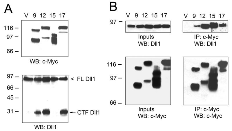 FIG. 6