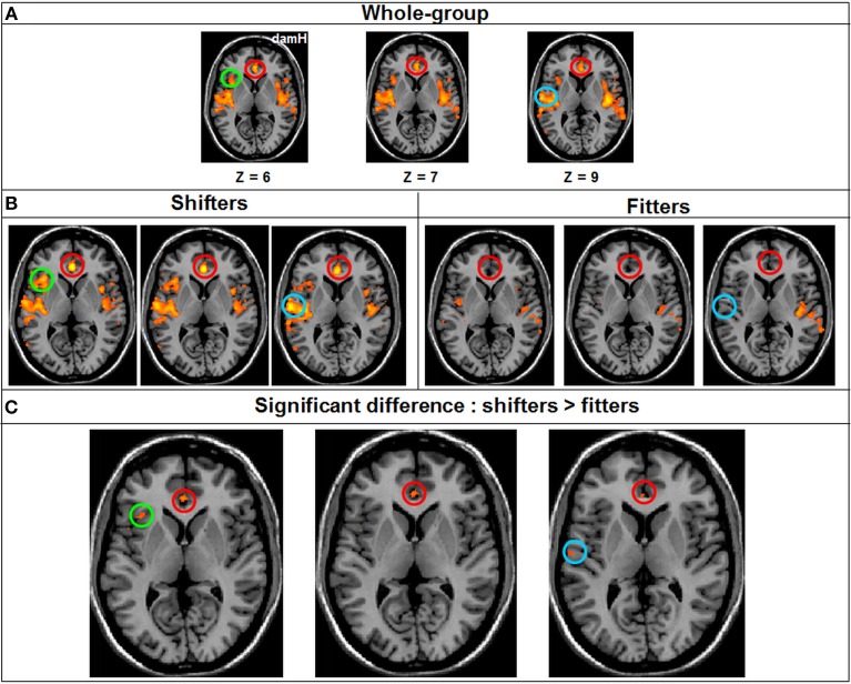 Figure 7