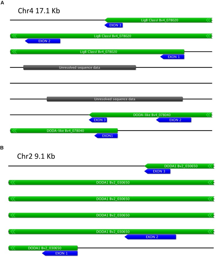 FIGURE 10