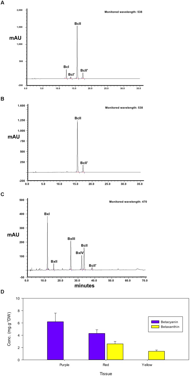 FIGURE 3