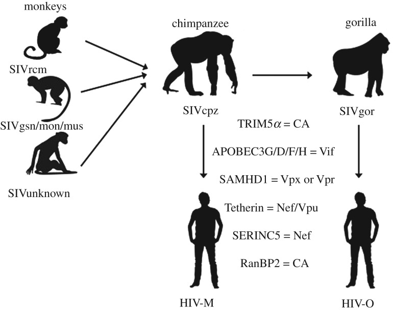 Figure 2.